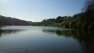 Blick auf den Ohmbachsee und sein begrüntes Ufer.